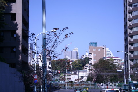 2013/11月 EF-S18-55ⅡUSM+30D　焦点距離51mm F/5.6 ss1/800 ISO100