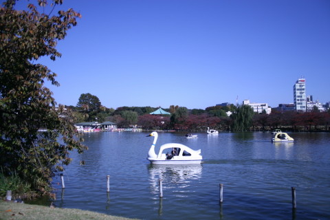 2013/11月 EF-S18-55ⅡUSM+30D 焦点距離18mm F/3.5 ss1/2000 ISO100