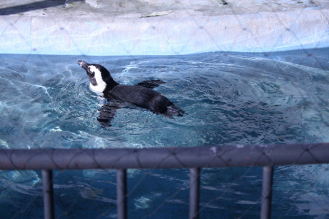 2013/11月 EF-S18-55ⅡUSM+30D 焦点距離55mm F/5.6 ss1/400 ISO100