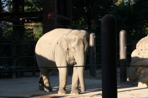 2013/11月 EF-S18-55ⅡUSM+30D 焦点距離55mm F/11 ss1/250 ISO400