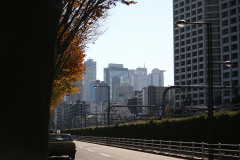 2013/11月 EF-S55-250IS+30D 焦点距離55mm F/4 ss1/1600 ISO100
