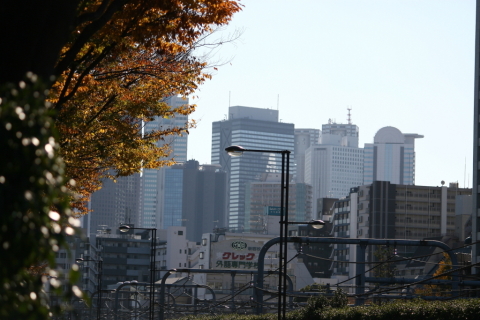 2013/11月 EF-S55-250IS+30D 焦点距離96mm F/5 ss1/1250 ISO100