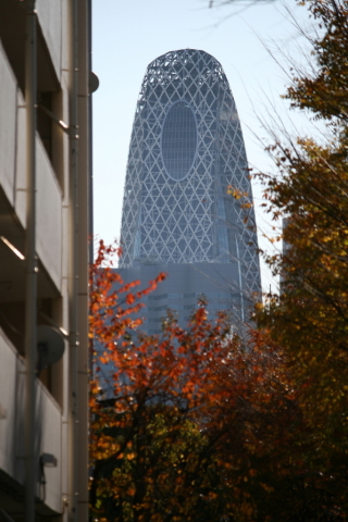 2013/11月 EF-S55-250IS+30D 焦点距離200mm F/5.6 ss1/800 ISO100