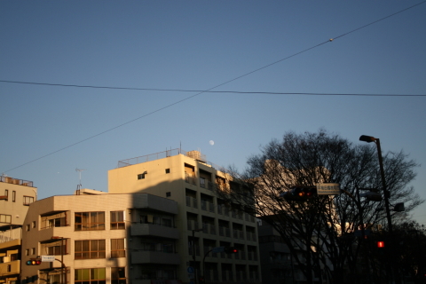 2013/12月 EF-S18-55USM+30D 焦点距離55mm F/5.6 ss1/640 ISO100