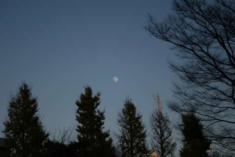 2013/12月 EF-S18-55USM+30D 焦点距離55mm F/5.6 ss1/640 ISO100