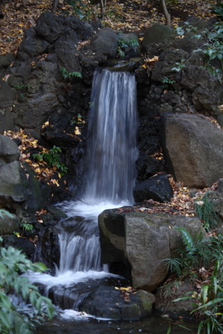 2013/12月 EF-S55-250IS+30D 焦点距離74mm F/4.5 ss1/13 ISO100