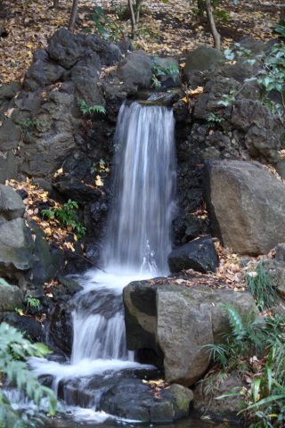 2013/12月 EF-S55-250IS+30D 焦点距離74mm F/4.5 ss1/8 ISO100