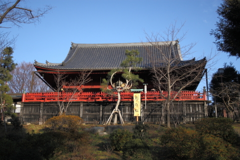 2014/1月 EF-S18-55USM+30D 焦点距離31mm F/4.5 ss1/500 ISO100