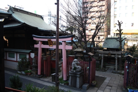 2014/1月 EF-S18-55USM+30D 焦点距離18mm F/3.5 ss1/125 ISO100