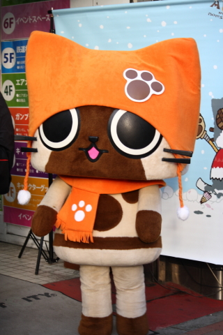 2014/1月 EF-S55-250IS+30D 焦点距離55mm F/4.0 ss1/80 ISO100