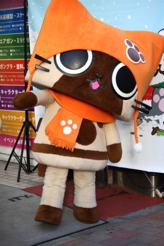 2014/1月 EF-S55-250IS+30D 焦点距離55mm F/4.0 ss1/80 ISO100