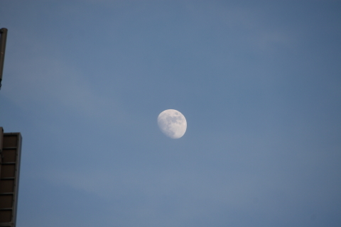 2014/1月 EF-S55-250IS+30D 焦点距離250mm F/7.1 ss1/250 ISO100