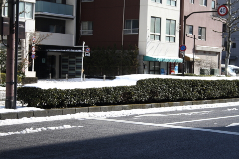 2014/2月 EF-S18-55ⅡUSM+30D 焦点距離55mm F/5.6 ss1/400 ISO100