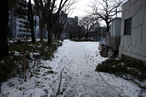 2014/2月 EF-S18-55ⅡUSM+30D 焦点距離18mm F/3.5 ss1/500 ISO100