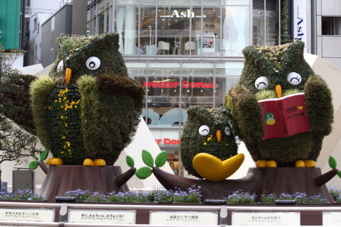 2014/3月 EF-S55-250IS+30D 焦点距離250mm F/7.1 ss1/60 ISO100