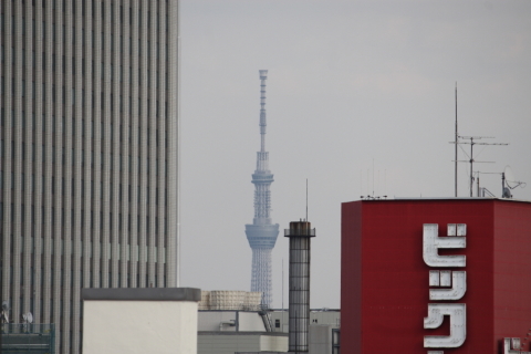 2014/3月 EF-S55-250IS+30D 焦点距離250mm F/7.1 ss1/400 ISO100