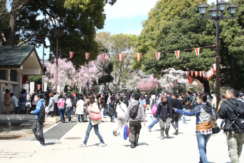 2014/4月 EF-S18-55ⅡUSM+30D 焦点距離34mm F/8 ss1/160 ISO100
