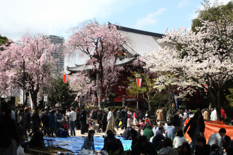 2014/4月 EF-S18-55ⅡUSM+30D 焦点距離38mm F/8 ss1/200 ISO100