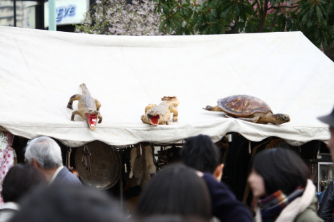 2014/4月 EF-S55-250IS+30D 焦点距離96mm F/5 ss1/60 ISO100