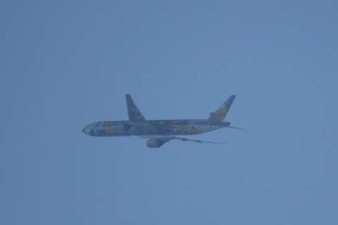 2014/1月 EF-S55-250IS+30D 焦点距離250mm F/5.6 ss1/2000 ISO100