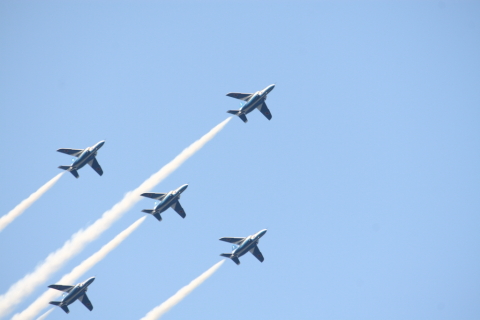 2014/5月 EF-S55-250IS+30D 焦点距離250mm F/8 ss1/125 ISO100