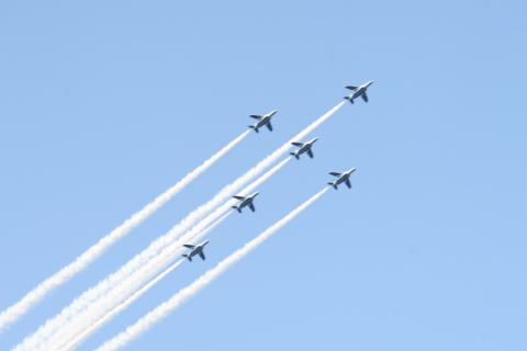 2014/5月 EF-S55-250IS+30D 焦点距離116mm F/8 ss1/125 ISO100