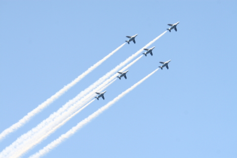 2014/5月 EF-S55-250IS+30D 焦点距離96mm F/8 ss1/125 ISO100