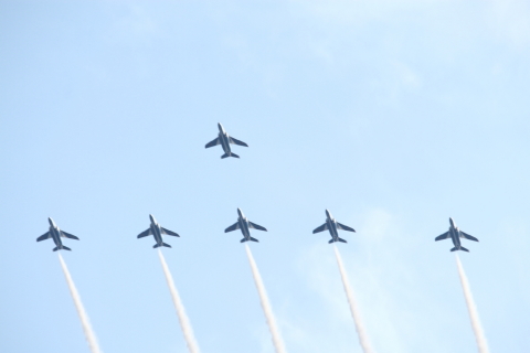 2014/5月 EF-S55-250IS+30D 焦点距離187mm F/8 ss1/125 ISO100