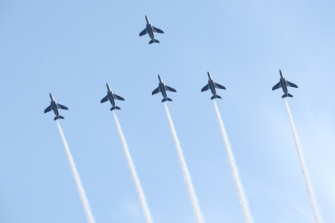 2014/5月 EF-S55-250IS+30D 焦点距離135mm F/8 ss1/125 ISO100