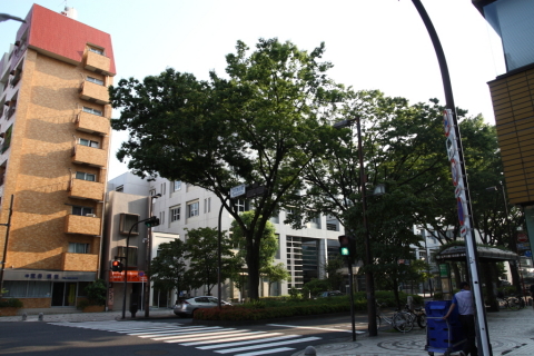 2014/7月 SIGMA17-70+30D 焦点距離17mm F/4 ss1/250 ISO100