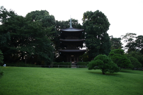 2014/7月 SIGMA17-70+30D 焦点距離17mm F/2.8 ss1/160 ISO100