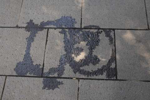 2014/7月 SIGMA17-70+30D 焦点距離23mm F/6.3 ss1/20 ISO100