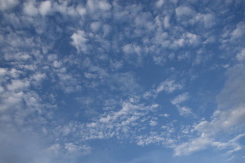 2014/8月 SIGMA17-70+30D 焦点距離23mm F/4 ss1/640 ISO100