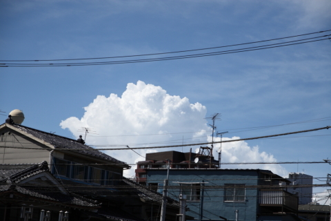 2014/8月 SIGMA17-70+30D 焦点距離70mm F/4 ss1/2500 ISO100