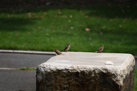 2014/8月 TAMRONsp70-300+30D 焦点距離300mm F/5.6 ss1/500 ISO100