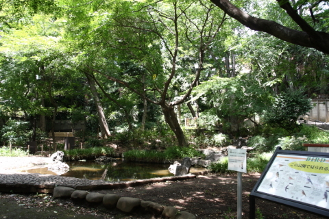 2014/8月 SIGMA17-70+30D 焦点距離17mm F/4 ss1/30 ISO100