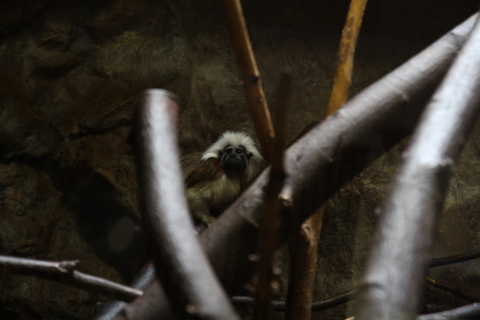 2014/10月 SIGMA17-70+30D 焦点距離70mm F/4 ss1/15 ISO640