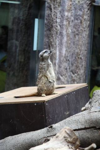 2014/10月 SIGMA17-70+30D 焦点距離70mm F/4 ss1/80 ISO640