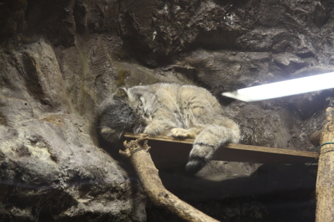 2014/10月 SIGMA17-70+30D 焦点距離70mm F/4 ss1/15 ISO640