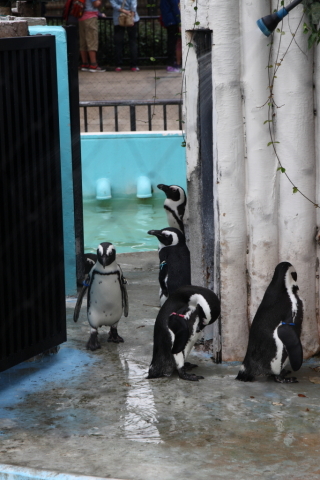 2014/10月 SIGMA17-70+30D 焦点距離70mm F/7.1 ss1/80 ISO100