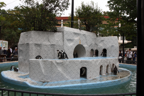 2014/10月 SIGMA17-70+30D 焦点距離17mm F/7.1 ss1/100 ISO100