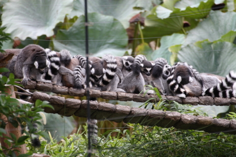 2014/10月 TAMRONsp70-300+30D 焦点距離300mm F/5.6 ss1/160 ISO200