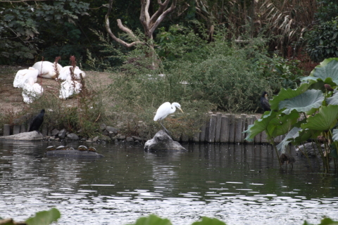 2014/10月 TAMRONsp70-300+30D 焦点距離300mm F/5.6 ss1/320 ISO200
