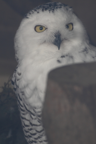 2014/10月 TAMRONsp70-300+30D 焦点距離271mm F/7.1 ss1/40 ISO200