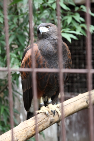 2014/10月 SIGMA17-70+30D 焦点距離70mm F/5.6 ss1/20 ISO200