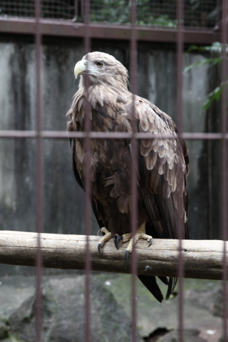 2014/10月 SIGMA17-70+30D 焦点距離63mm F/5.6 ss1/60 ISO200