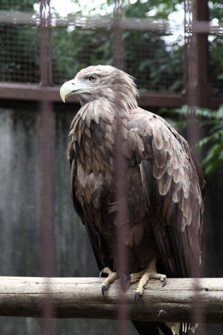 2014/10月 SIGMA17-70+30D 焦点距離70mm F/5.6 ss1/60 ISO200