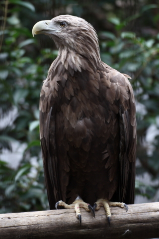 2014/10月 TAMRONsp70-300+30D 焦点距離147mm F/4.5 ss1/125 ISO250