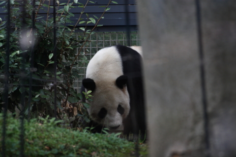 2014/10月 TAMRONsp70-300+30D 焦点距離300mm F/5.6 ss1/100 ISO400