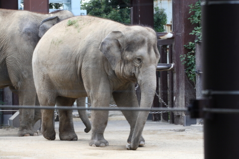 2014/10月 TAMRONsp70-300+30D 焦点距離124mm F/5.6 ss1/200 ISO320